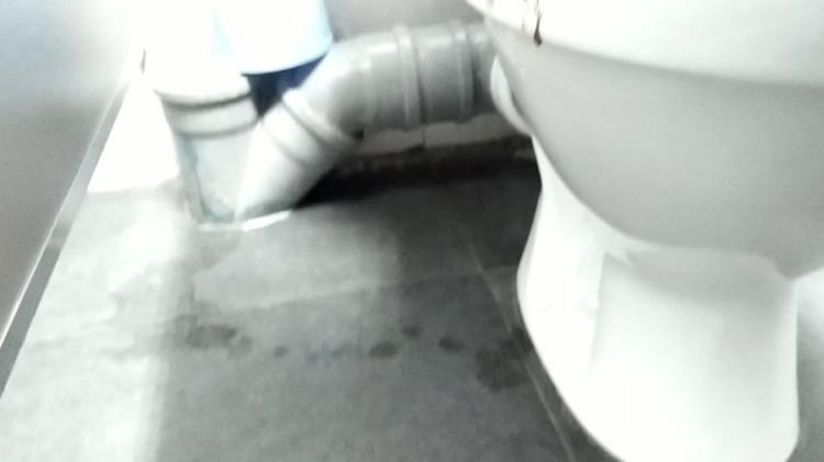 nastygirl - Diarhea and pee in WC - FullHD - Scatshop (2021)