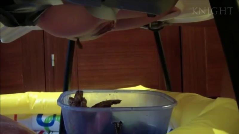 Young Girls Poop From Chair On Slave In Pool P1 - SD (2025)