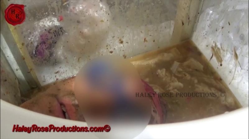 Haley Rose Productions - 12 Hours Locked in Toilet Box Part 2 - FullHD (2025)