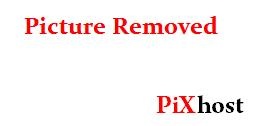 PLBZ – The ass of the human toilet must be punished in order to work properly - HD (2025)