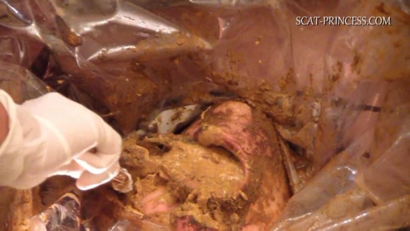 Scatmania Underground Toilet Slave Part 5 Sc M St - HD (2025)