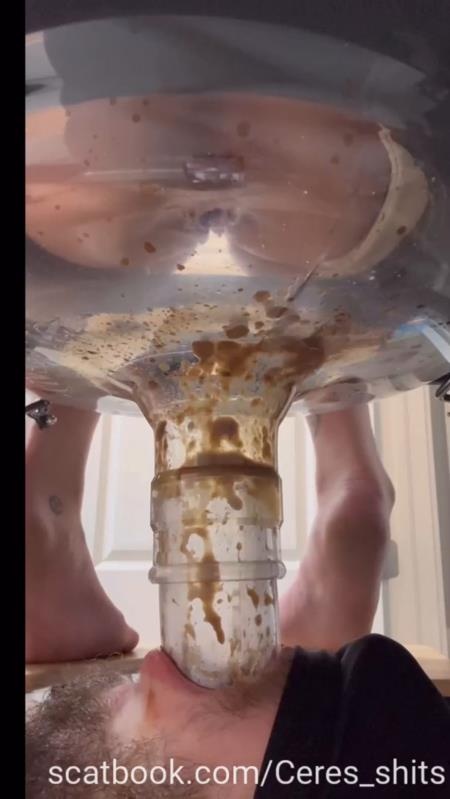 A Day of Shitting Down My Toilet's Throat P1 - SD (2025)