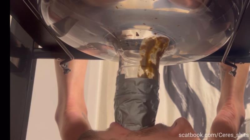 Quick Liquid Diarrhea for My Septic Tank with Goddess Ceres P1 - FullHD (2025)