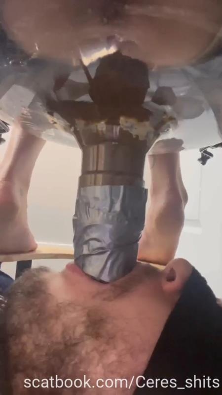 Toilet Annihilation with Goddess Ceres P1 - SD (2025)