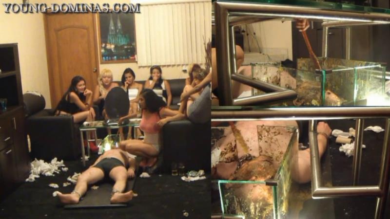 Young Dominas - Sorry Slave, you stay, until you swallowed all the Shit Part 10 HD. P1 - HD (2025)