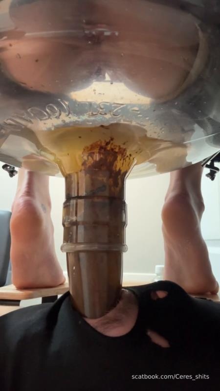 Goddess Ceres - 2025-12-05 - Haha Suffer Loser Swallow My Load - SD (2025)