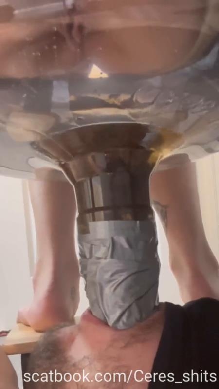 Goddess Ceres - A Full Day Of Humiliation Hiking With A Toilet - SD (2025)