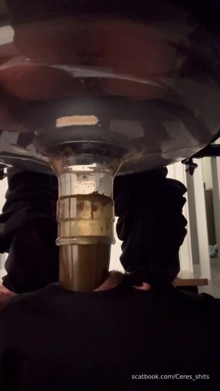 Goddess Ceres-2025-10-19 - Toilet Swallows All My Waste For The Day - SD (2025)