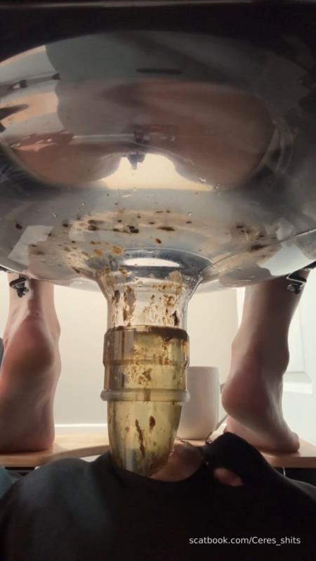 Goddess Ceres - 2025-11-03 - My Diarrhea Recepticle - SD (2025)