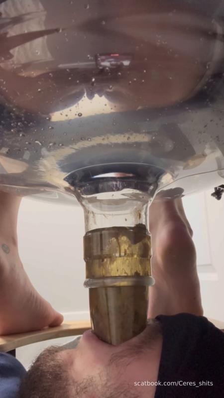 Goddess Ceres - Human Toilet's First Malfunction Infinite Shit Down Your Throat » Mixfemdomcc - Latest Femdom Porn for Online Streaming - SD (2025)