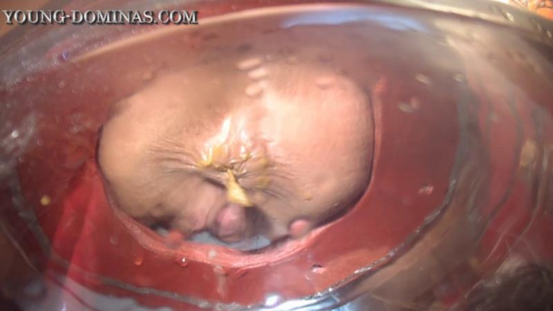 The Poop Barril Part 3 HD. P1 - HD (2026)