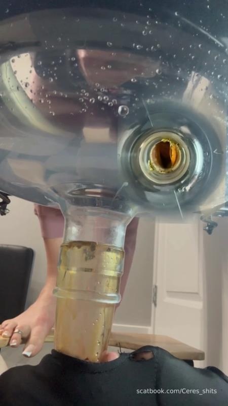 Septic Tank Almost Fails P1 - SD (2026)