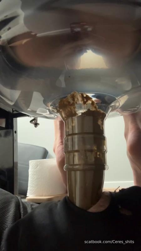 Daily Toilet Torture P1 - SD (2026)