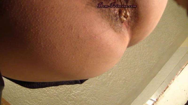 Scatmania Princesses Household Toilet Slave Part 5 Diana Hd - HD (2026)