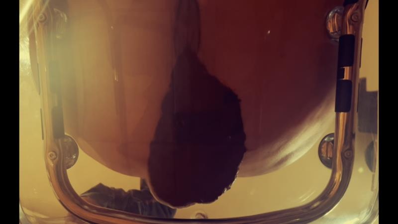 Poop in transparent chair - HD (2026)