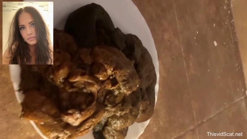 A huge pile of shit goes into the toilet. P1 - HD (2026)