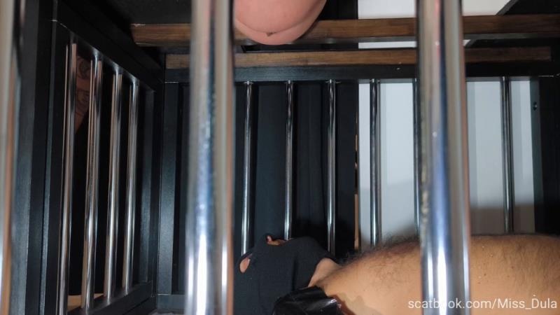 MISS DULA - My Poop In His Mouth » Mixfemdomcc - Latest Femdom Porn for Online Streaming - FullHD (2026)