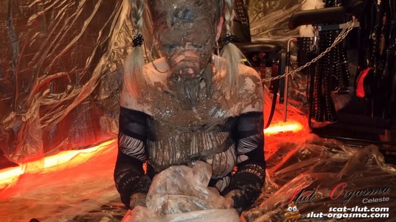 Extreme disgusting scat pig shitting puking swallowing - FullHD (2026)