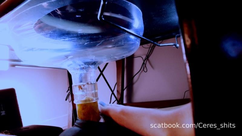 A Private Session with My Toilet - FullHD (2026)
