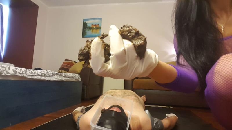 Pooping On My Slave’s Face - FullHD (2026)