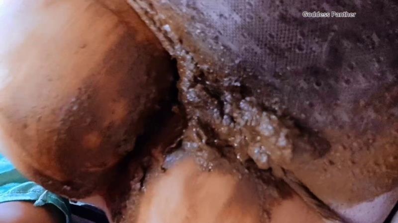 thefartbabes - Huge Panty Poop Lover - FullHD (2026)
