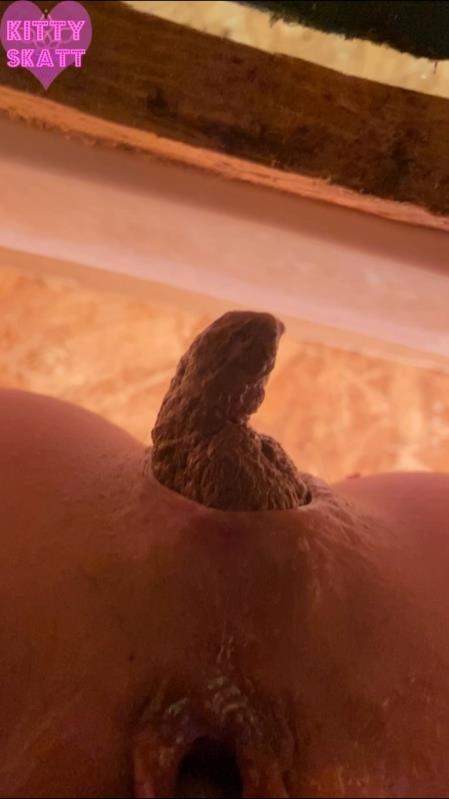 Kitty Skatt - POV hookup in festival toilet - SD (2026)