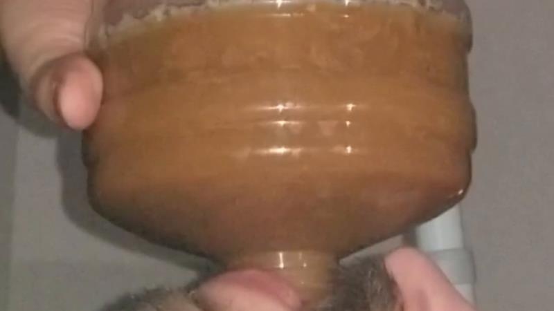 SSBBW Queen Siya - Chugging LITERS of my poop-flavored pee - HD (2026)