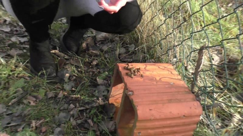 HotDirtyIvone - Compilation Dump Set 177 Videos P16 - FullHD (2026)