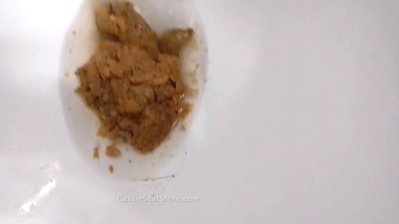 CassieScat - Holding in a Shart Explosion – The Recipe for Rank, Juicy F… - FullHD (2026)
