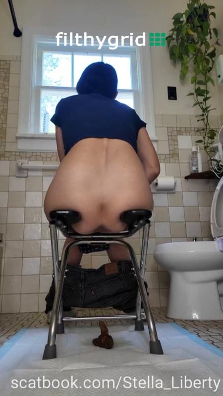 Number Two with the Toilet Chair - SD (2026)